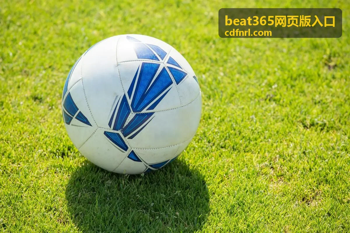 beat365网页版入口 安全验证环节界面